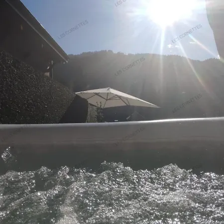 Appartement Meuble Classe 3 Etoiles De 72 M2, 2 Chambres Morzine Exterior foto